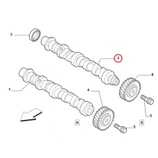 Розподільчий вал впускний 1.4i 16v Doblo 2009-, Виробник: FIAT, OE: 46434593