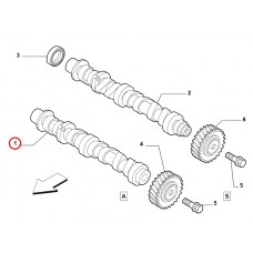 Розподільчий вал випускний 1.4i 16v Doblo 2009-, Виробник: FIAT, OE: 55196047