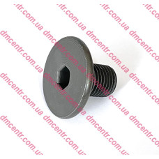 Болт первинного валу 1.4i, 1.6MJTD, 2.0MJTD Doblo 2009-2015, 2015-2023, Виробник: FIAT, OE: 55211194