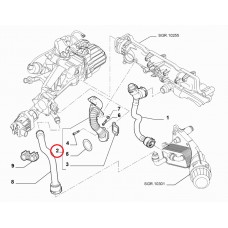 Трубка клапана ЄГР 1.6 MJTD, 2.0 MJTD Doblo 2009-, Виробник: FIAT, OE: 55212330, 55222896