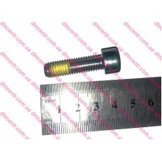 Гвинт зчеплення M8X30 500X 2015-, Виробник: FIAT, OE: 55246615, 68211416AA