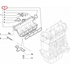 Прокладка впускного колектора (компл) 1.3MJTD , Виробник: COTECH, OE: 71749369