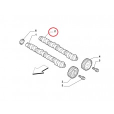 Розподільчий вал 1.6MJTD, 2.0MJTD Doblo 2009- , Виробник: GEMSAFT, OE: 55206425
